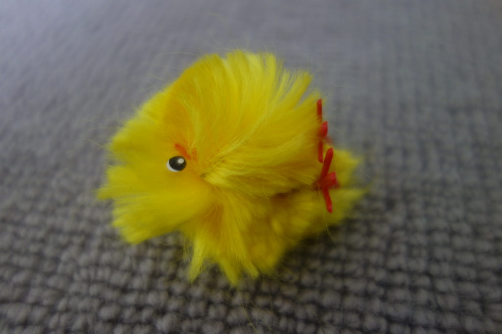 one-eyed yellow Easter chick